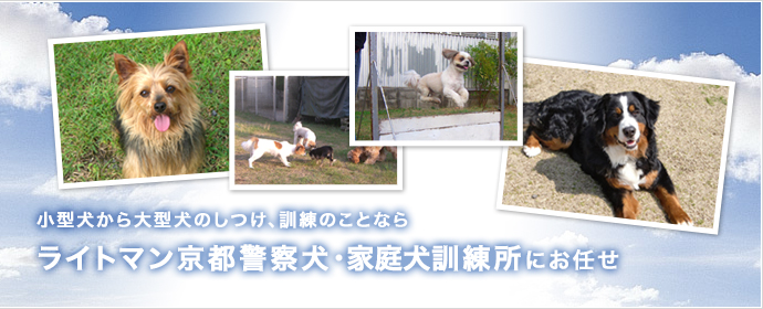 小型犬から大型犬のしつけ、訓練のことならライトマン京都警察犬訓練所にお任せ下さい。